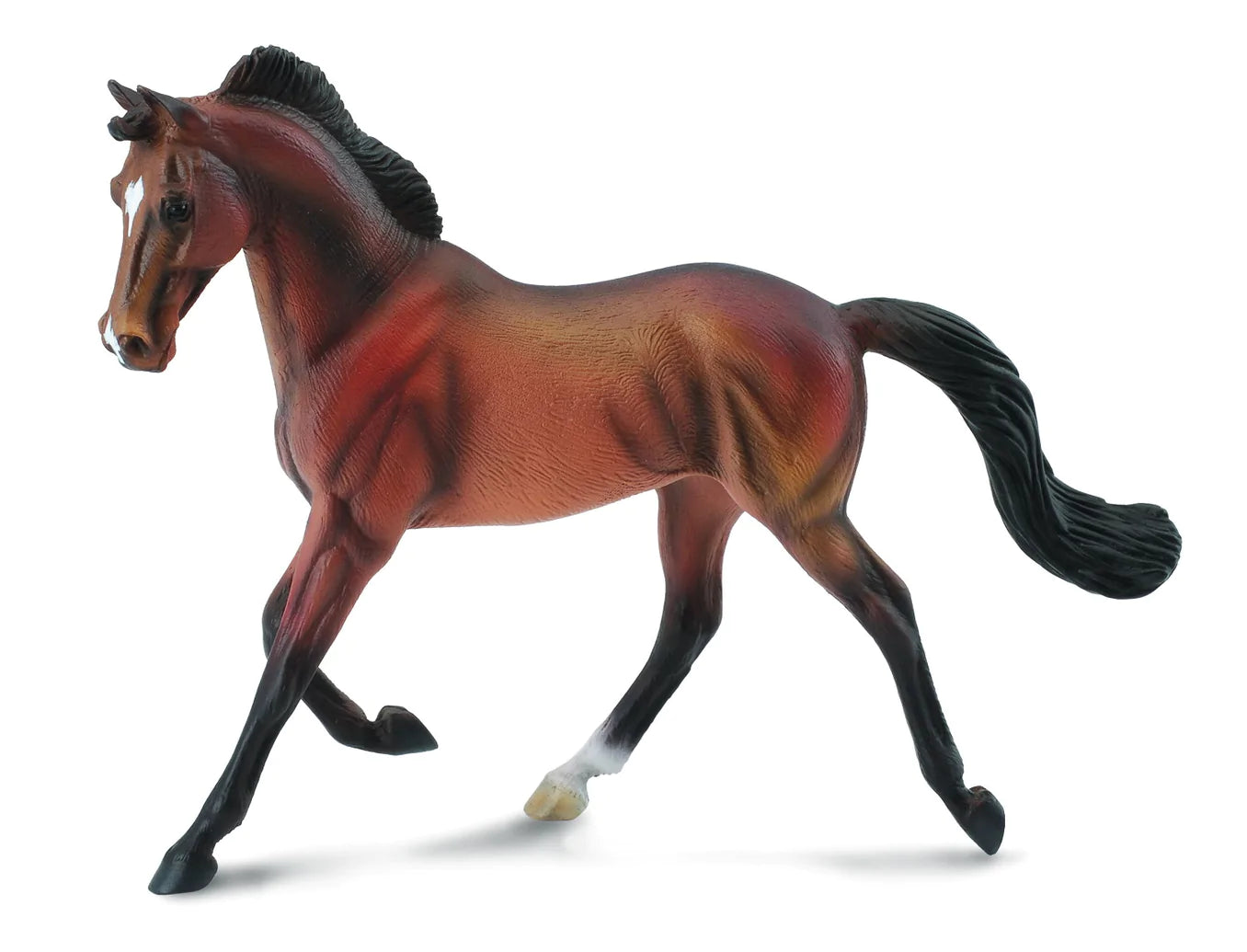 Collecta Bay thoroughbred horse