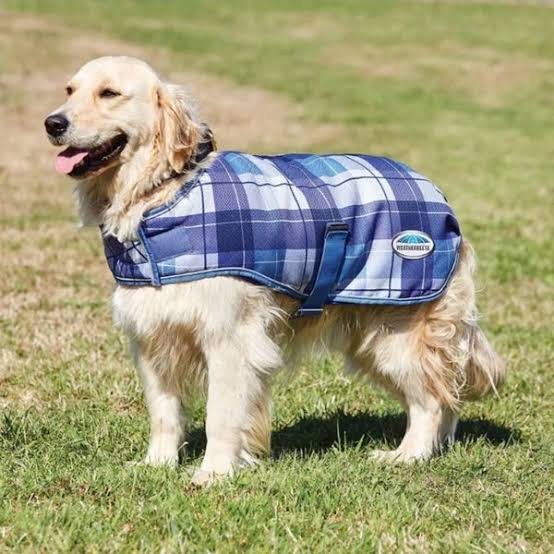 WEATHERBEETA ComFitec Premier Free Parka Dog Coat