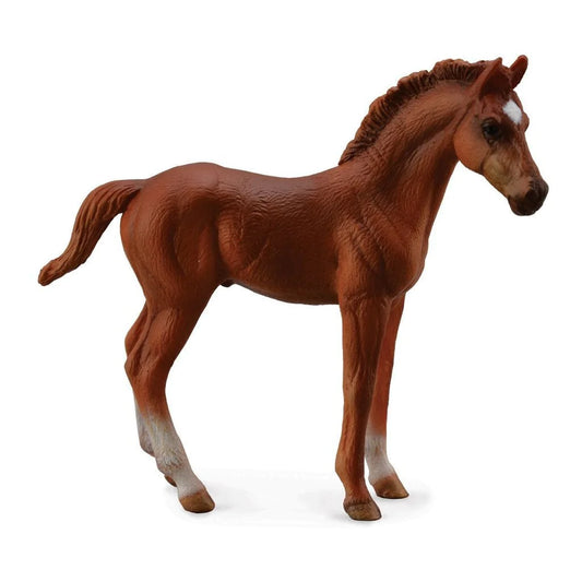 Collecta Chestnut thoroughbred foal