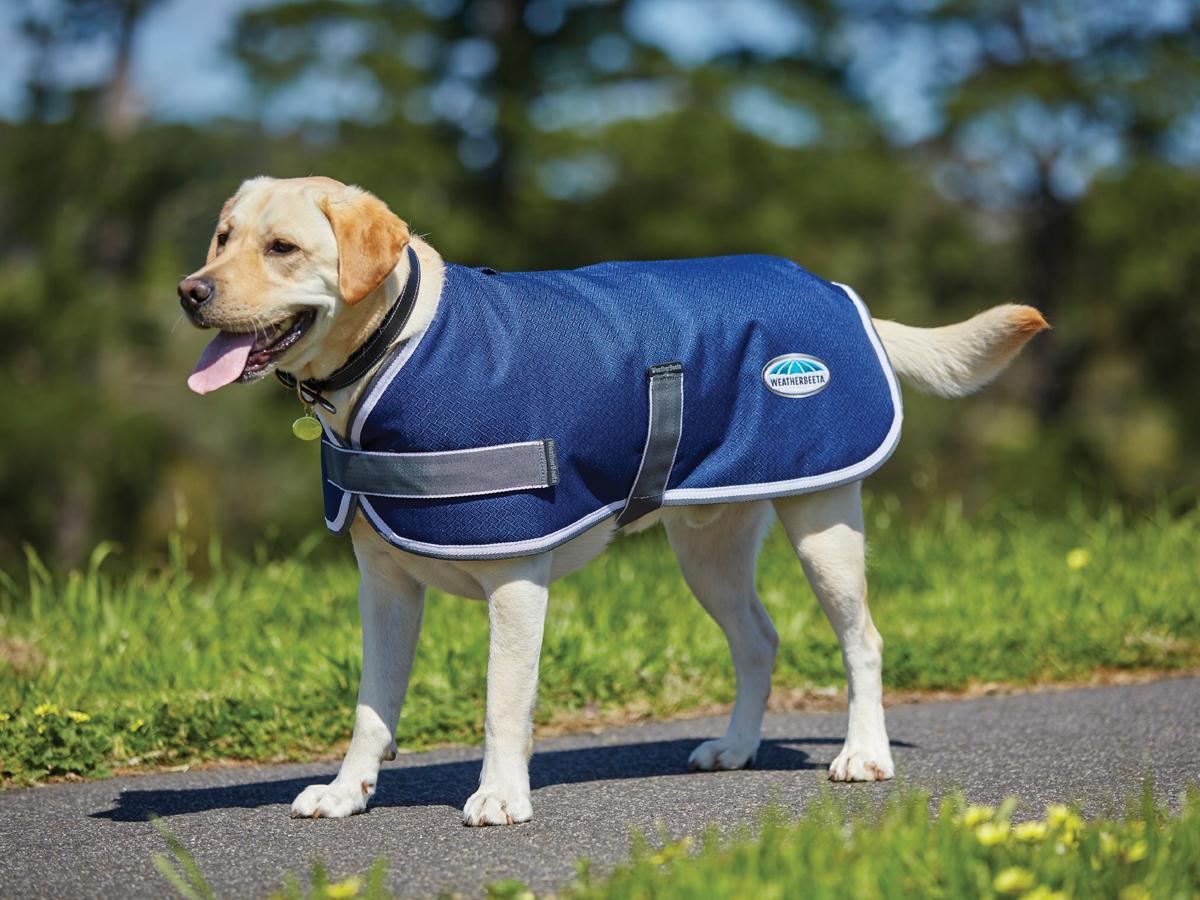 Weatherbeeta dog outlet rugs